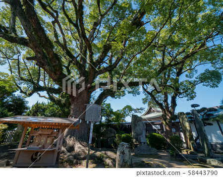 Ako Oishi Shrine 58443790