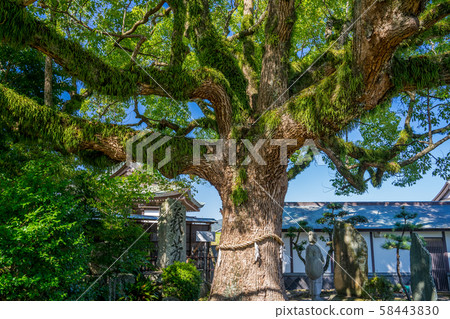 Ako Oishi Shrine Ako Oishi Shrine 58443830