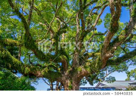 大石晃神社 58443835