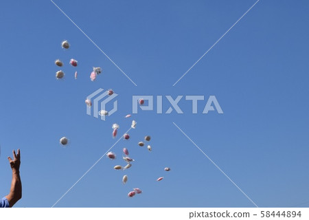 Japanese jade throwing behavior 58444894