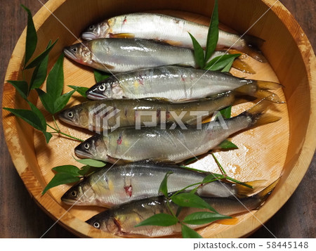 A Ayu /齒形Ayu 58445148
