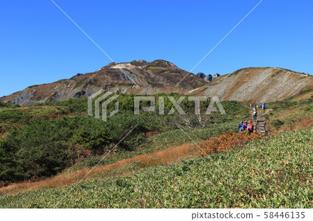 Happo-one Nature Research Road / Takamatsudake Trail (Hakuba Village, Nagano Prefecture) Happo-one Nature Research Road / Takamatsudake Trail (Hakuba Village, Nagano Prefecture) 58446135