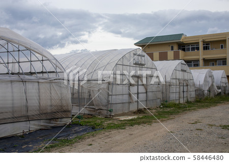 乙烯基房屋與乙烯基剝落 乙烯基房屋與乙烯基剝落 58446480