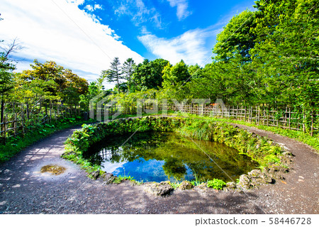 Mt. Fuji Summer Oshino Hakkai Choshi Pond Mt. Fuji Summer Oshino Hakkai Choshi Pond 58446728