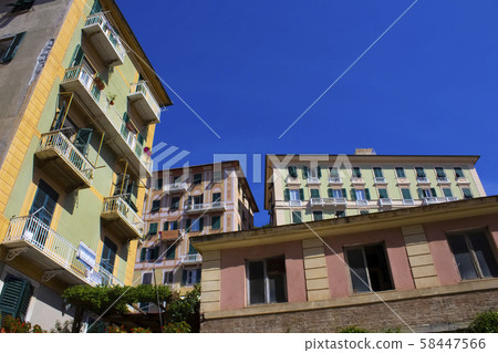 Colorful buildings and beach at Camogli on sunny summer day, Liguria 58447566