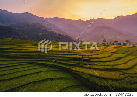 Aerial top view of paddy rice terraces, green Aerial top view of paddy rice terraces, green 58448223