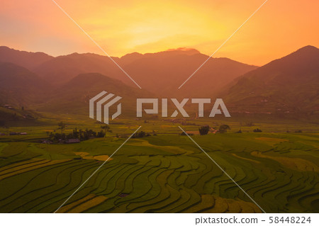 Aerial top view of paddy rice terraces, green Aerial top view of paddy rice terraces, green 58448224