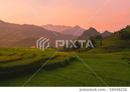 Aerial top view of paddy rice terraces, green Aerial top view of paddy rice terraces, green 58448226