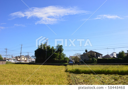 水稻收穫時，東京八王子 58448468