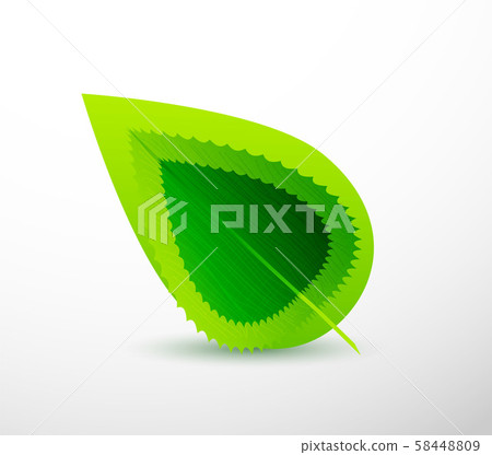 Green leaves pattern background. Ecology modern abstract template 58448809