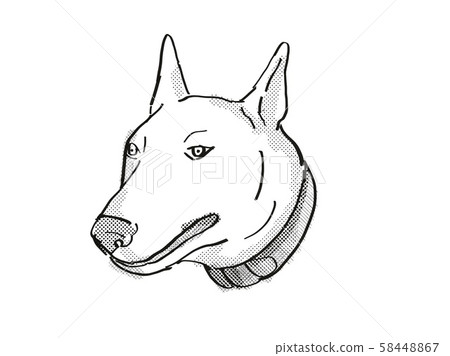 Bull Terrier Dog Breed Cartoon Retro Drawing Stock Illustration 58448867 Pixta