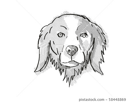 Brittany or Brittany Spaniel Dog Breed Cartoon 58448869