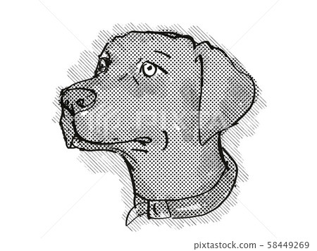 Chesapeake Bay Retriever Dog Breed Cartoon Retro 58449269