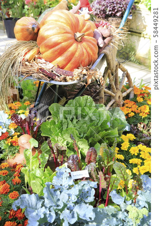 Halloween decoration Halloween 58449281