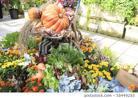 Halloween decoration Halloween 58449283