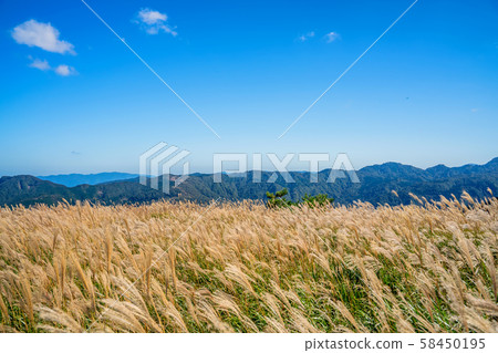 Susukino of the Kamiyama plateau 58450195
