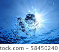 Sea	 58450240