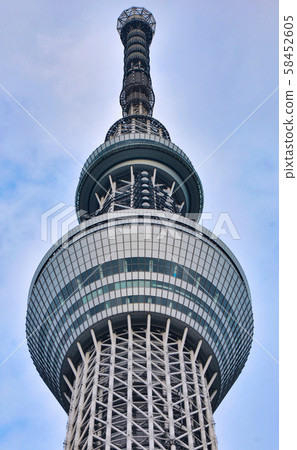 Sky tree close-up 58452605