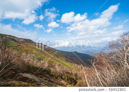 大雪山人參山和Niseikasushupe山在深秋 大雪山人參山和Niseikasushupe山在深秋 58452901