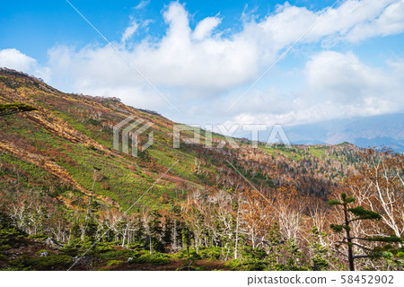 大雪山人參山和Niseikasushupe山在深秋 58452902