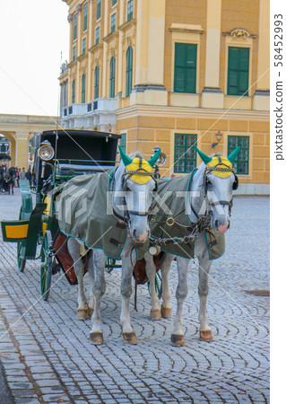 VIENNA, AUSTRIA  - 22-10-2018 58452993