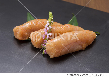 Tako Tako 58453566