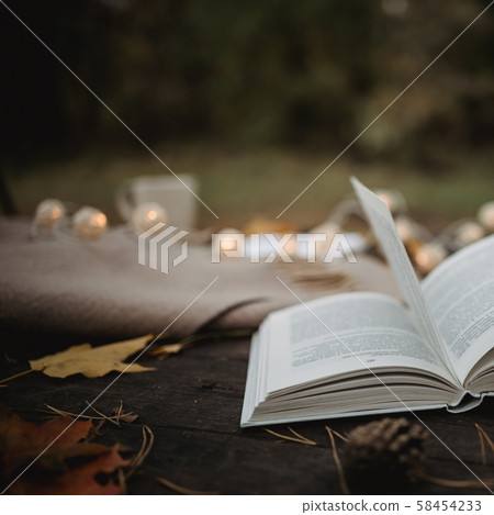 On an old wooden table in an autumn park lies an open book, a plaid, a garland with lights, a cup of On an old wooden table in an autumn park lies an open book, a plaid, a garland with lights, a cup of 58454233