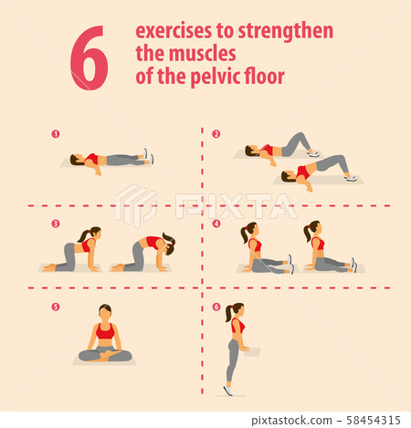 Exercises to strengthen the muscles of the pelvic floor. Exercises to strengthen the muscles of the pelvic floor. 58454315