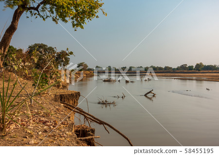 Ultra long exposure of luangwa river in Zambia with trunk debris Ultra long exposure of luangwa river in Zambia with trunk debris 58455195
