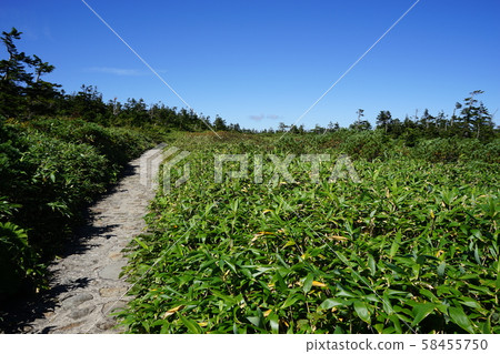 Let's go Hachimantai in early autumn Let's go Hachimantai in early autumn 58455750