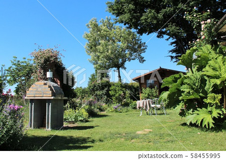 帶有小屋和大樹和草坪的花園 帶有小屋和大樹和草坪的花園 58455995
