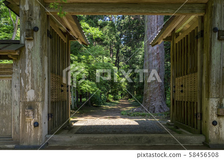 The gate and the fresh green 58456508