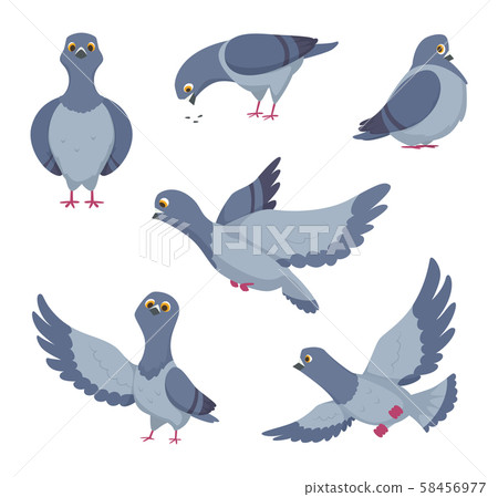 Cartoon set of funny pigeons. Illustrations of birds