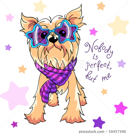 Vector Yorkshire terrier dog Vector Yorkshire terrier dog 58457390