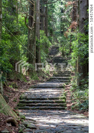 《和歌山縣》熊野古道上的大門坂 《和歌山縣》熊野古道上的大門坂 58457664
