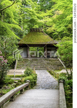《京都》新鮮的綠色飯年院 58458020
