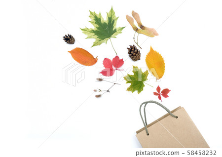 autumn leaves and cones on white background with package. fall flat lay, top view creative objects autumn leaves and cones on white background with package. fall flat lay, top view creative objects 58458232