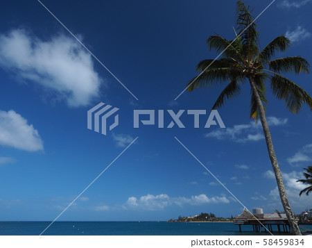 New Caledonia Anse Bata New Caledonia Anse Bata 58459834