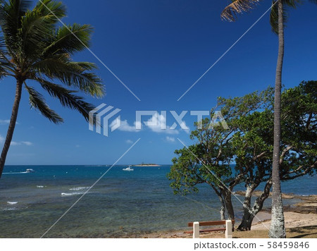New Caledonia Anse Vata Beach New Caledonia Anse Vata Beach 58459846