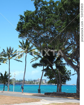 New Caledonia Anse Bata New Caledonia Anse Bata 58459969