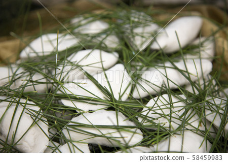 Making Songpyeon with Pine Pine Needles 58459983