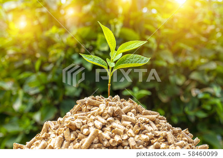 small pile of wood pellets with on top of green 58460099