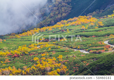 Mt. Norikura, Nagano Prefecture 58460181