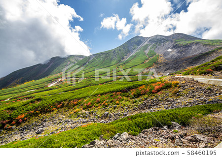 長野縣Norikura山 長野縣Norikura山 58460195