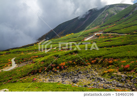 長野縣Norikura山 長野縣Norikura山 58460196
