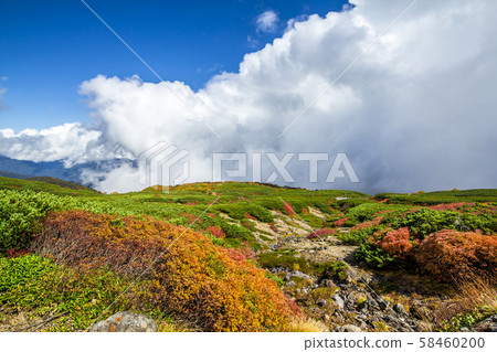 長野縣Norikura山 58460200