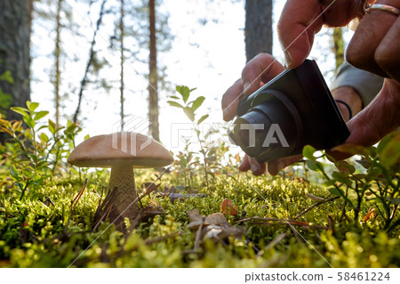 Man shooting orange cap boletus on camera. 58461224