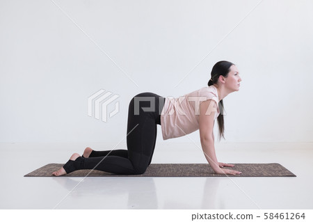 Woman doing yoga asana bitilasana cow or cat pose for gentle warm up for spine Woman doing yoga asana bitilasana cow or cat pose for gentle warm up for spine 58461264