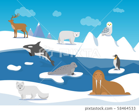 Arctic landscape with different polar animals 58464533