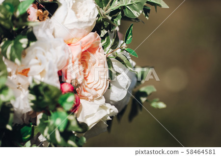 Close-up of flowers in sunlight.Close-up of roses 58464581